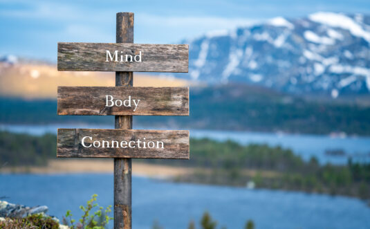 mind body connection text quote on wooden signpost outdoors in nature during blue hour.